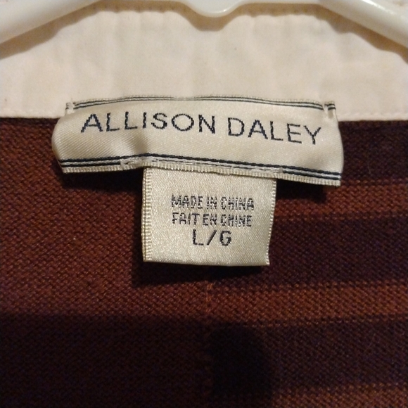 ALLISON DALEY Vintage Brown Striped Sweater Cardigan Size L - Picture 3 of 3